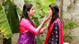 Raja Rani S02E224 Parvathy Seeks Sandhya's Help Full Episode