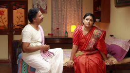 Raja Rani S02E231 Sivagami Feels Bad Full Episode