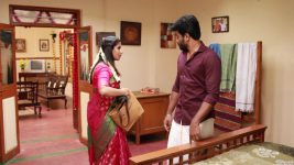 Raja Rani S02E233 Sandhya in a Pickle Full Episode