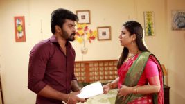 Raja Rani S02E234 Sandhya, Saravanan to Separate? Full Episode