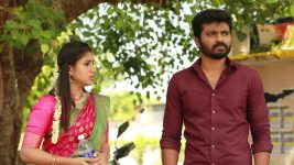 Raja Rani S02E236 Sandhya Leaves Saravanan Full Episode