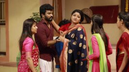 Raja Rani S02E241 Sandhya, Saravanan Reunite Full Episode