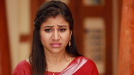 Raja Rani S02E264 Sandhya In Trouble Full Episode