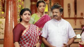 Raja Rani S02E285 Will Sivagami's Dream Come True? Full Episode