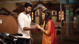 Raja Rani S02E287 Basker Takes a Stand Full Episode