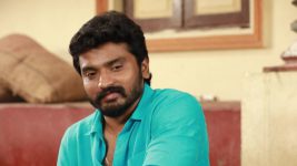 Raja Rani S02E29 Saravanan Helps Sandhya Full Episode