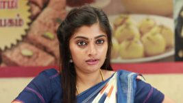 Raja Rani S02E293 Archana's Devious Plan Full Episode