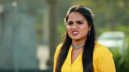 Raja Rani S02E314 Salma Gets Anxious Full Episode