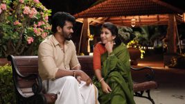 Raja Rani S02E315 Saravanan Encourages Sandhya Full Episode