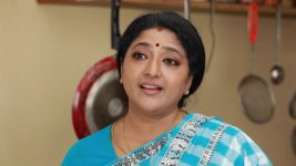 Raja Rani S02E323 Sivagami Gets Appreciated Full Episode