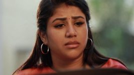 Raja Rani S02E327 Will Sandhya's Dream Come True? Full Episode