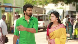 Raja Rani S02E33 Saravanan, Sandhya's Journey Full Episode