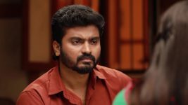 Raja Rani S02E330 Saravanan Is Frustrated Full Episode