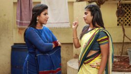 Raja Rani S02E347 Archana Gets Caught Red-Handed Full Episode