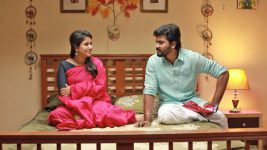 Raja Rani S02E351 Saravanan Plans a Surprise Full Episode