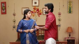 Raja Rani S02E357 Will Sandhya Confess the Secret? Full Episode