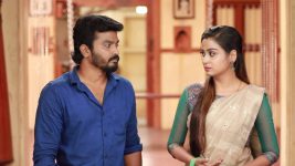 Raja Rani S02E379 Sandhya, Saravanan Feel Puzzled Full Episode