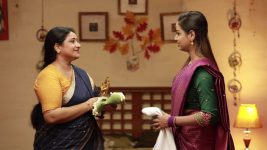 Raja Rani S02E391 Sivagami Expresses Her Wish Full Episode