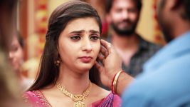 Raja Rani S02E396 Parvathy, Family Get Sentimental Full Episode