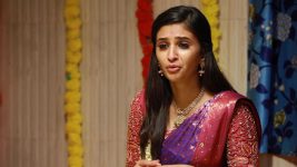 Raja Rani S02E398 Parvathy in Trouble? Full Episode