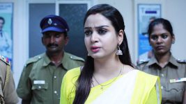 Raja Rani S02E416 Sandhya Plots a Trap Full Episode