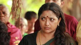 Raja Rani S02E425 Sivagami Gets Disturbed Full Episode