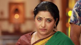 Raja Rani S02E428 Sivagami Gets Irritated Full Episode