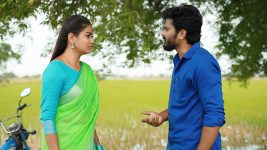 Raja Rani S02E432 Saravanan Questions Sandhya Full Episode