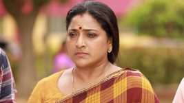 Raja Rani S02E438 Sivagami Gets Infuriated Full Episode