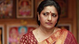 Raja Rani S02E442 Sivagami's Condition to Sandhya Full Episode