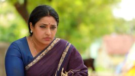 Raja Rani S02E451 Sivagami is Upset Full Episode