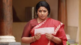 Raja Rani S02E453 What Is Sivagami Up to? Full Episode