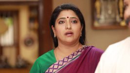 Raja Rani S02E459 Sivagami Feels Uneasy Full Episode