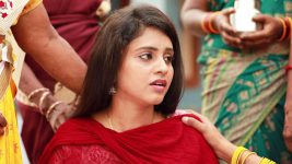 Raja Rani S02E466 Jenni Falls Unconscious Full Episode