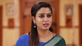 Raja Rani S02E477 Sivagami Challenges Sandhya Full Episode