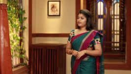 Raja Rani S02E55 Archana's Evil Plan Full Episode