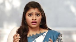 Raja Rani S02E69 Archana's Evil Move Full Episode