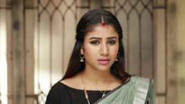 Raja Rani S02E70 Sandhya Gets Suspicious Full Episode