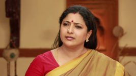 Raja Rani S02E74 Sivagami Punishes Archana Full Episode