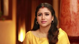 Raja Rani S02E75 Happy News for Sandhya Full Episode