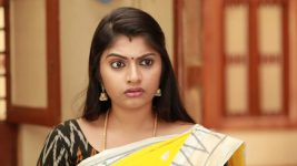 Raja Rani S02E82 Archana's Vile Move Full Episode