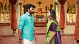 Raja Rani S02E83 Saravanan Loses His Calm Full Episode