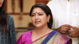 Raja Rani S02E86 Sivagami Is Vexed Up Full Episode