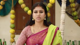 Raja Rani S02E95 Sandhya Has a Plan Full Episode