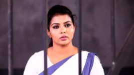 Rettai Roja S01 E906 15th November 2022