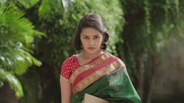 Saang Too Ahes Ka S01E211 Dr. Vaibhavi Returns to Anandwan Full Episode