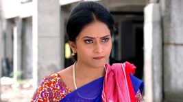 Savitramma Gari Abbayi S01E162 Subhashini Traps Balaraju Full Episode