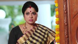 Savitramma Gari Abbayi S01E167 Savitri Has a Plan Full Episode