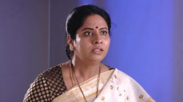 Savitramma Gari Abbayi S01E187 Jamuna's Family in Shock Full Episode