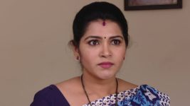 Savitramma Gari Abbayi S01E219 Subashni to Reveal the Truth Full Episode